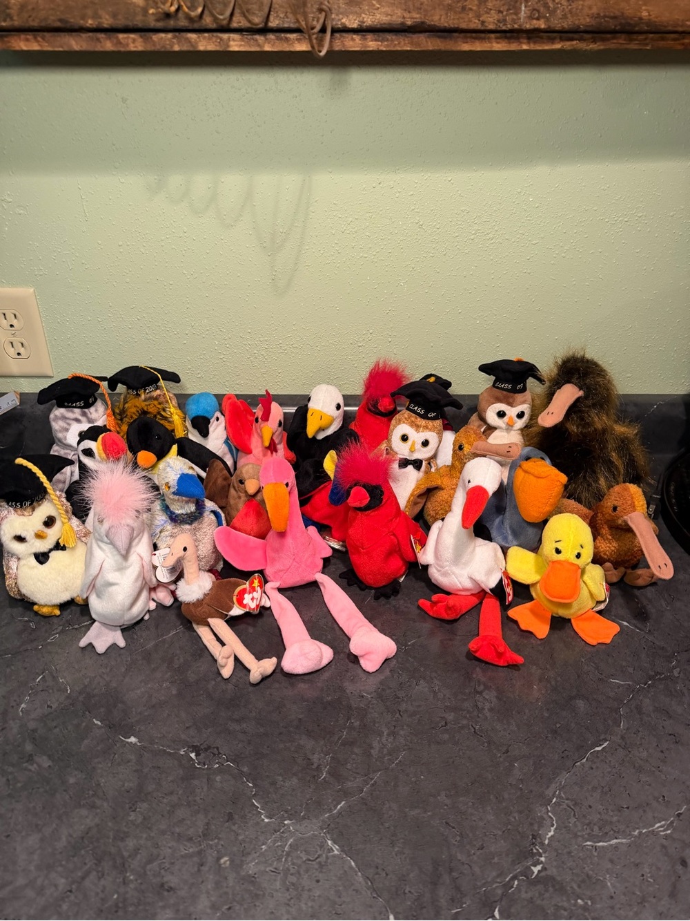 Ty Beanie Babies Bird and Graduation Owl Collection